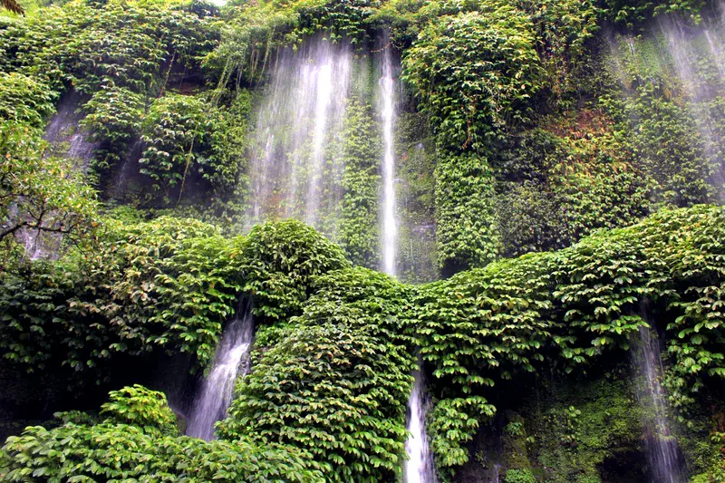 A mini green wall in Central Lombok, Indonesia
