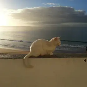 Relaxation time!