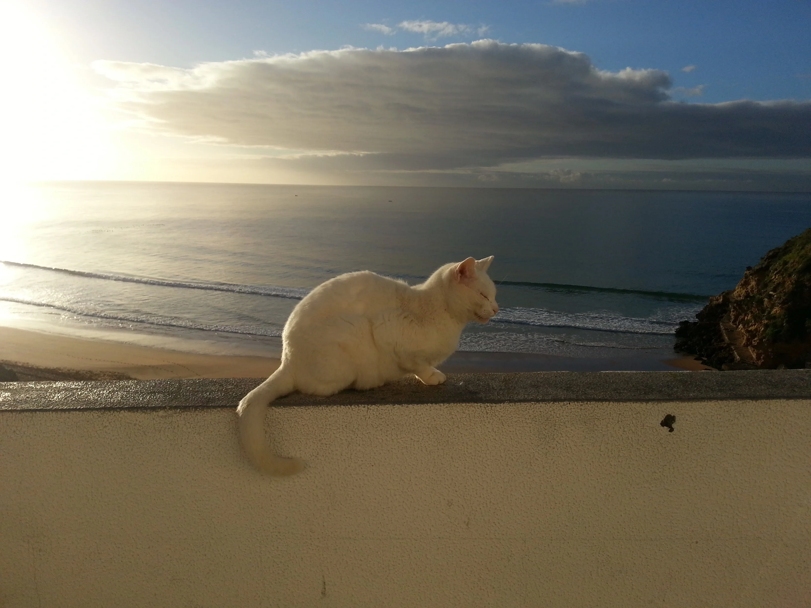 Relaxation time!