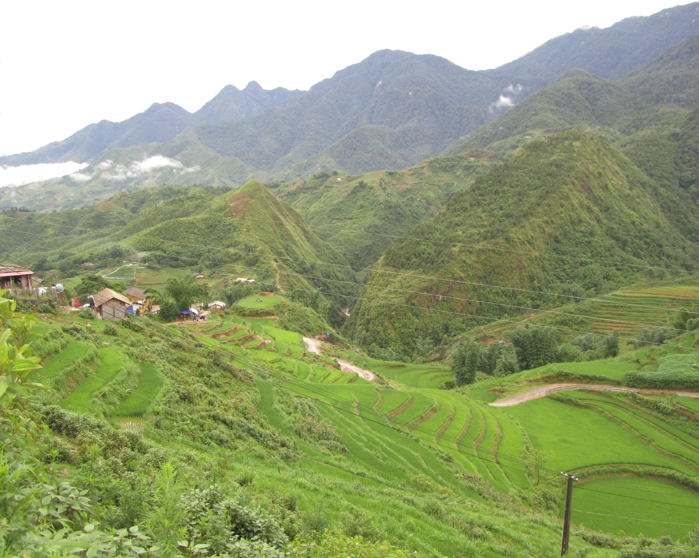 Terraced rice fields in Sapa