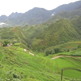 Terraced rice fields in Sapa
