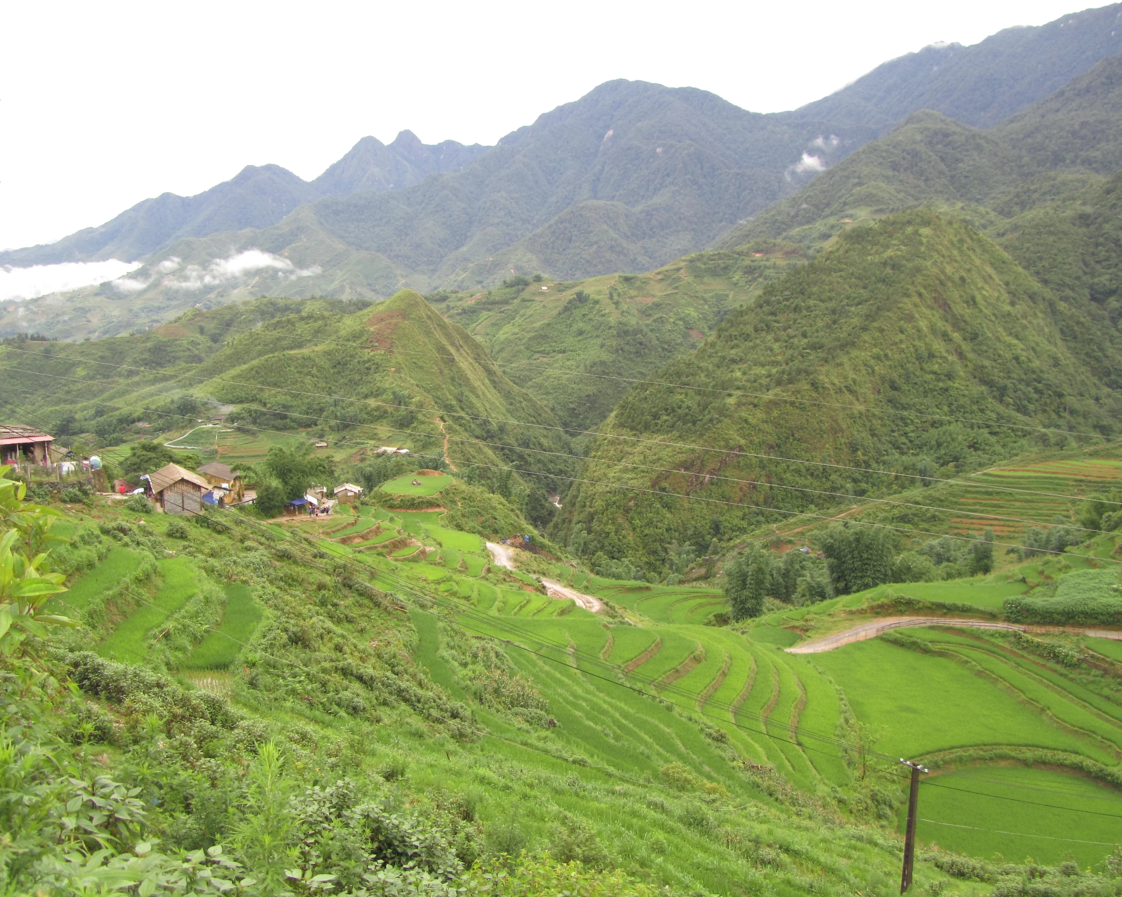 Terraced rice fields in Sapa