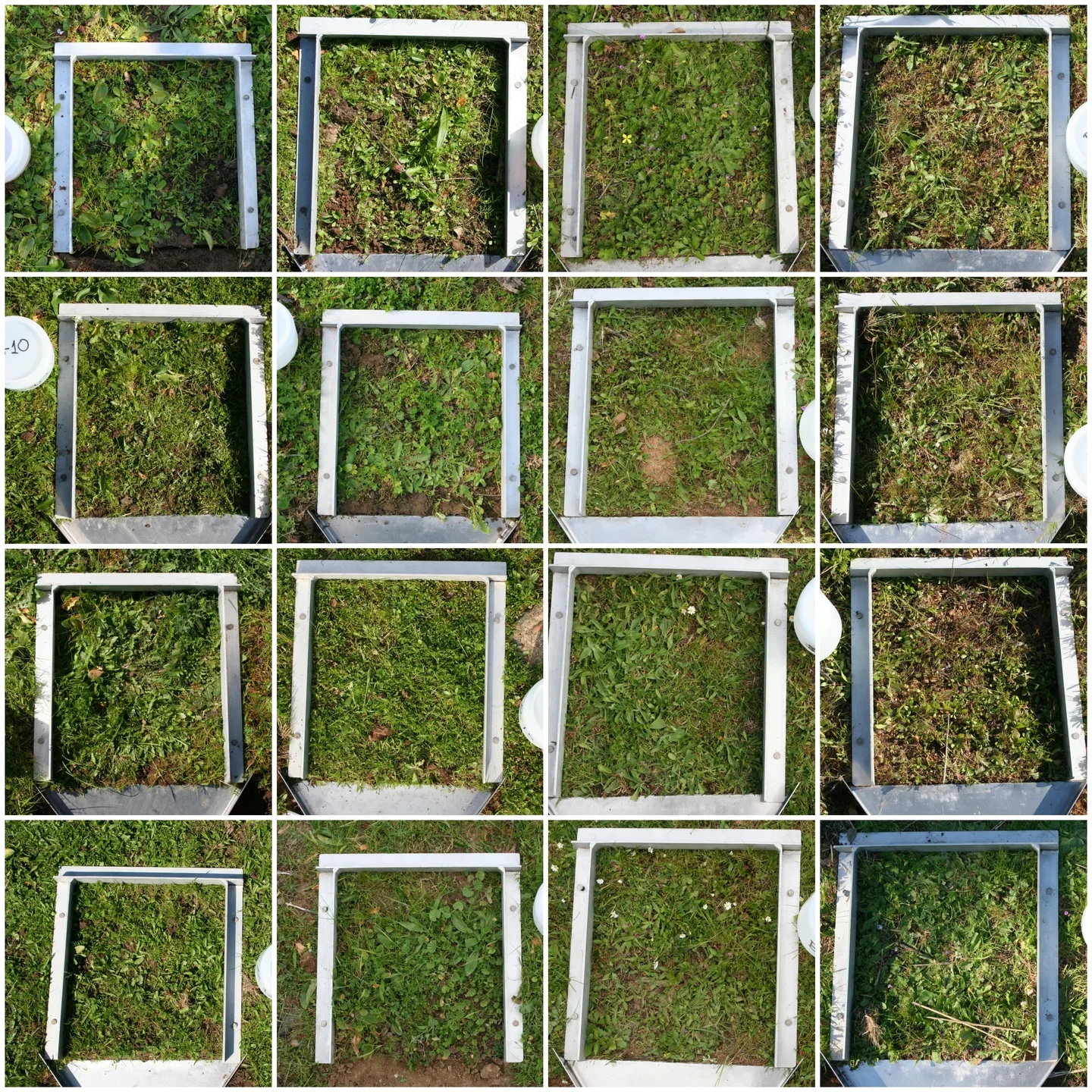 Rainfall simulation frames