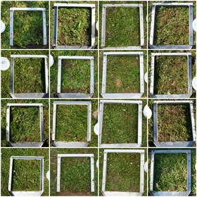 Rainfall simulation frames