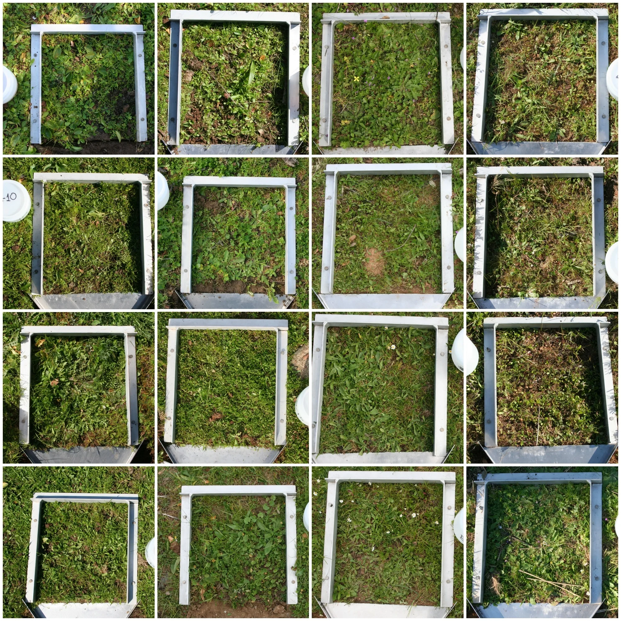 Rainfall simulation frames