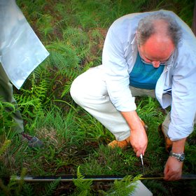 Soil scientists in action: José Antonio González-Pérez