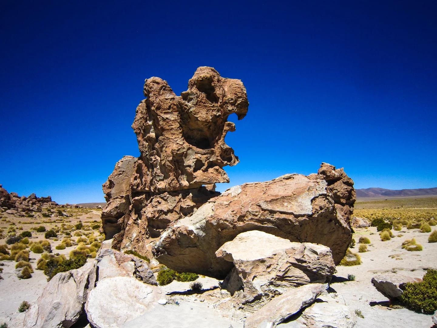 Águila de piedra - the eagle of the desert