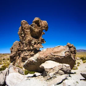 Águila de piedra - the eagle of the desert