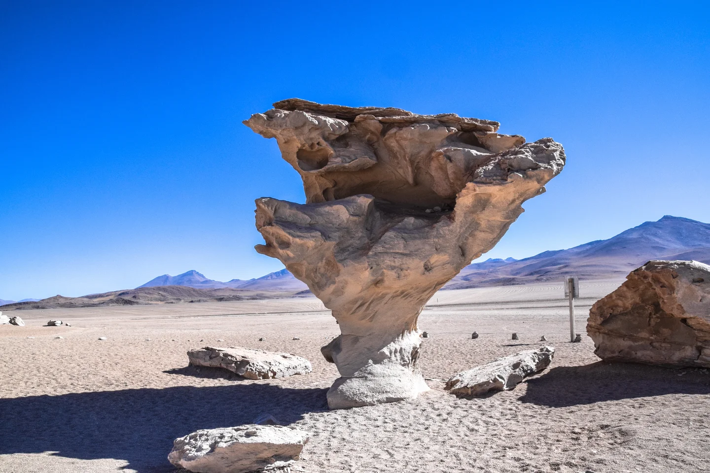 'Arbol de piedra' - the stone tree