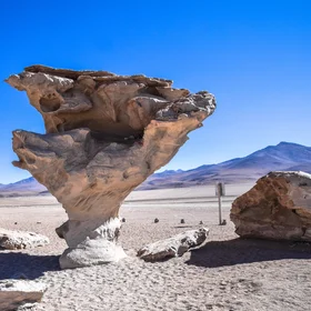'Arbol de piedra' - the stone tree