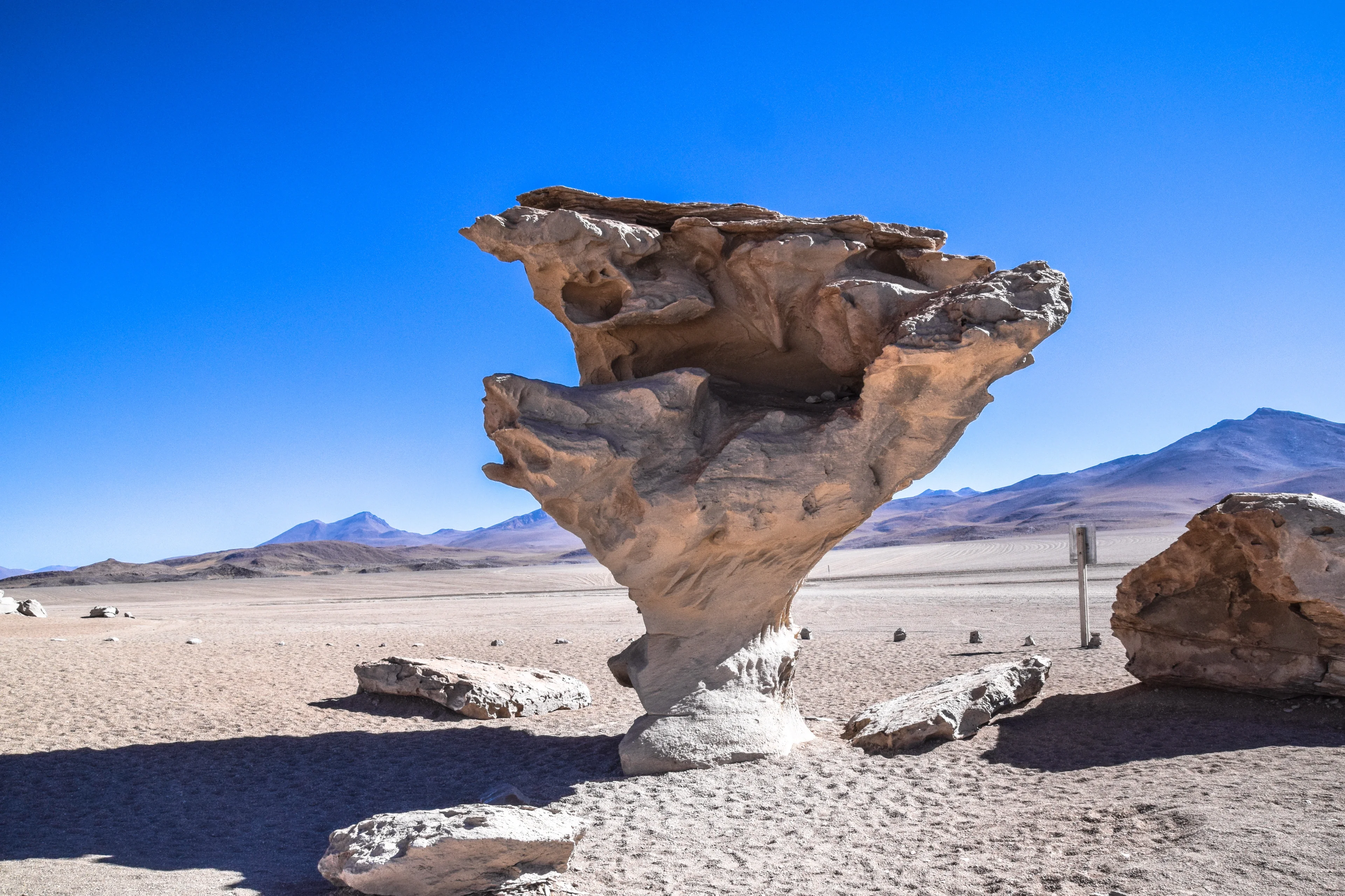 'Arbol de piedra' - the stone tree