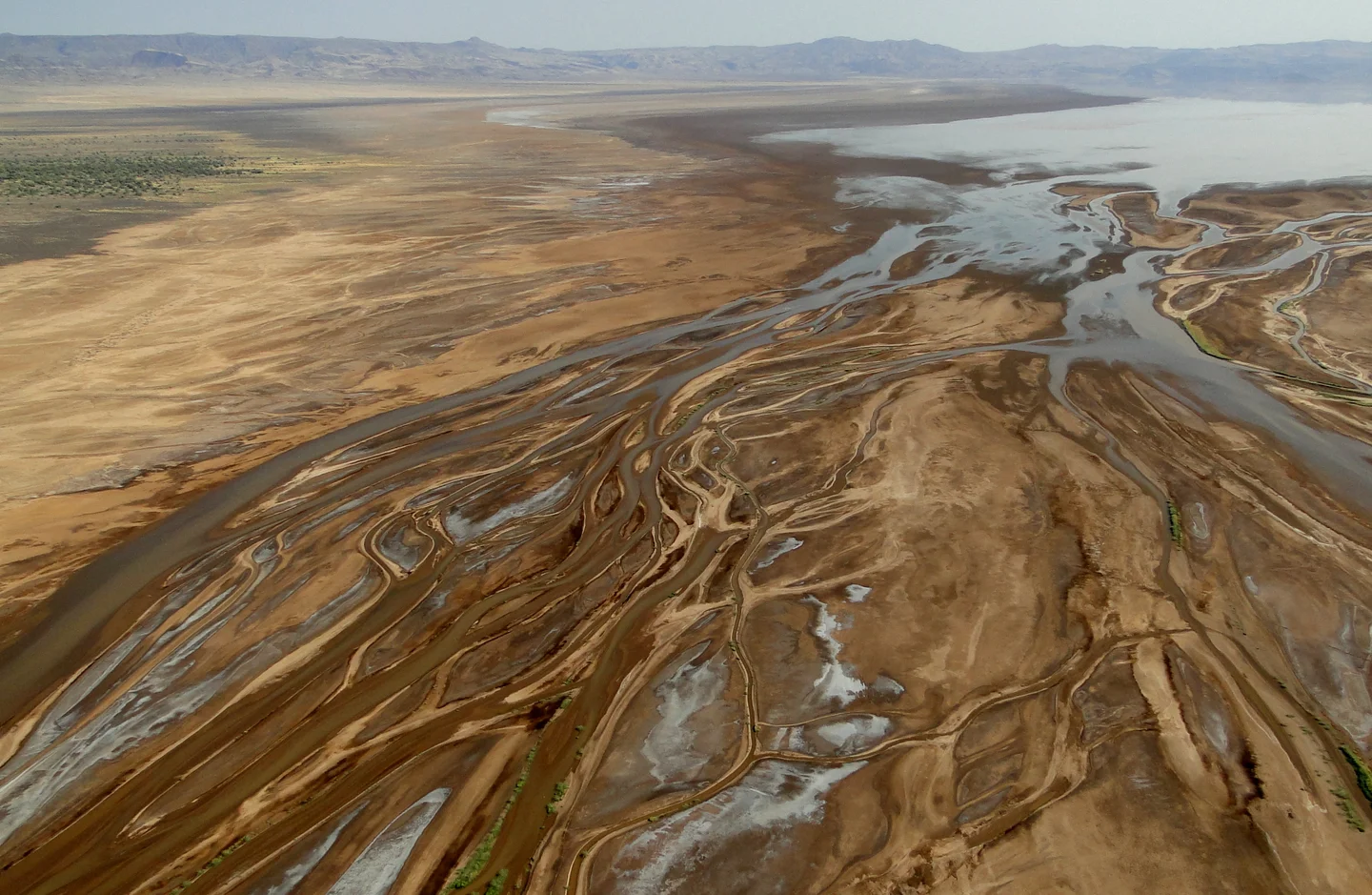 Braided Suguta River in Northern Kenya