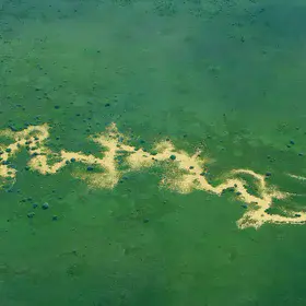 Flooded river in northern Kenya