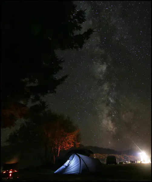 Salmon, bears and the Milky Way at Klamath