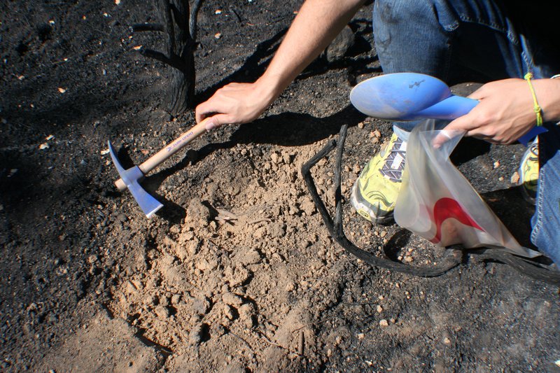 Water-repellent soil layer below wettable ash layer after a wildfire