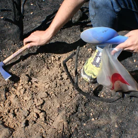 Water-repellent soil layer below wettable ash layer after a wildfire