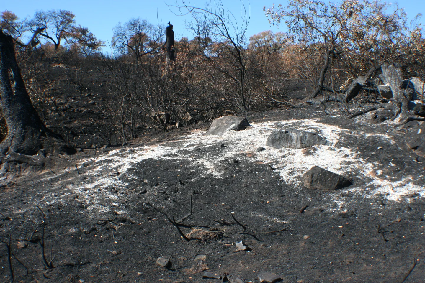White island in a black sea