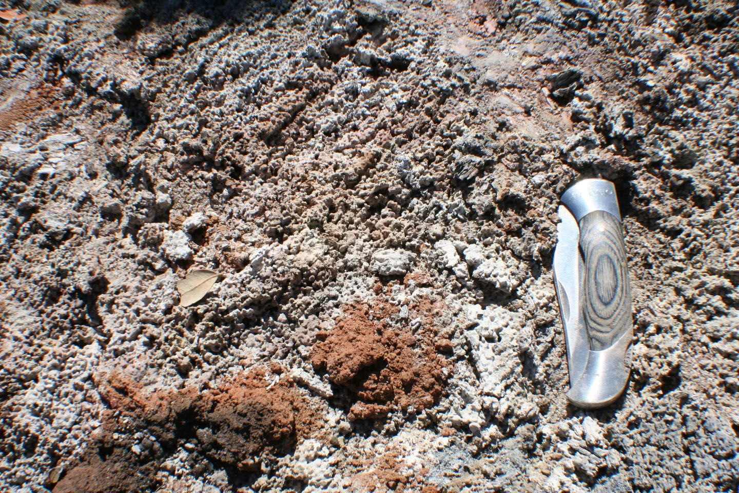 An ash layer protects the soil surface
