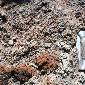 An ash layer protects the soil surface
