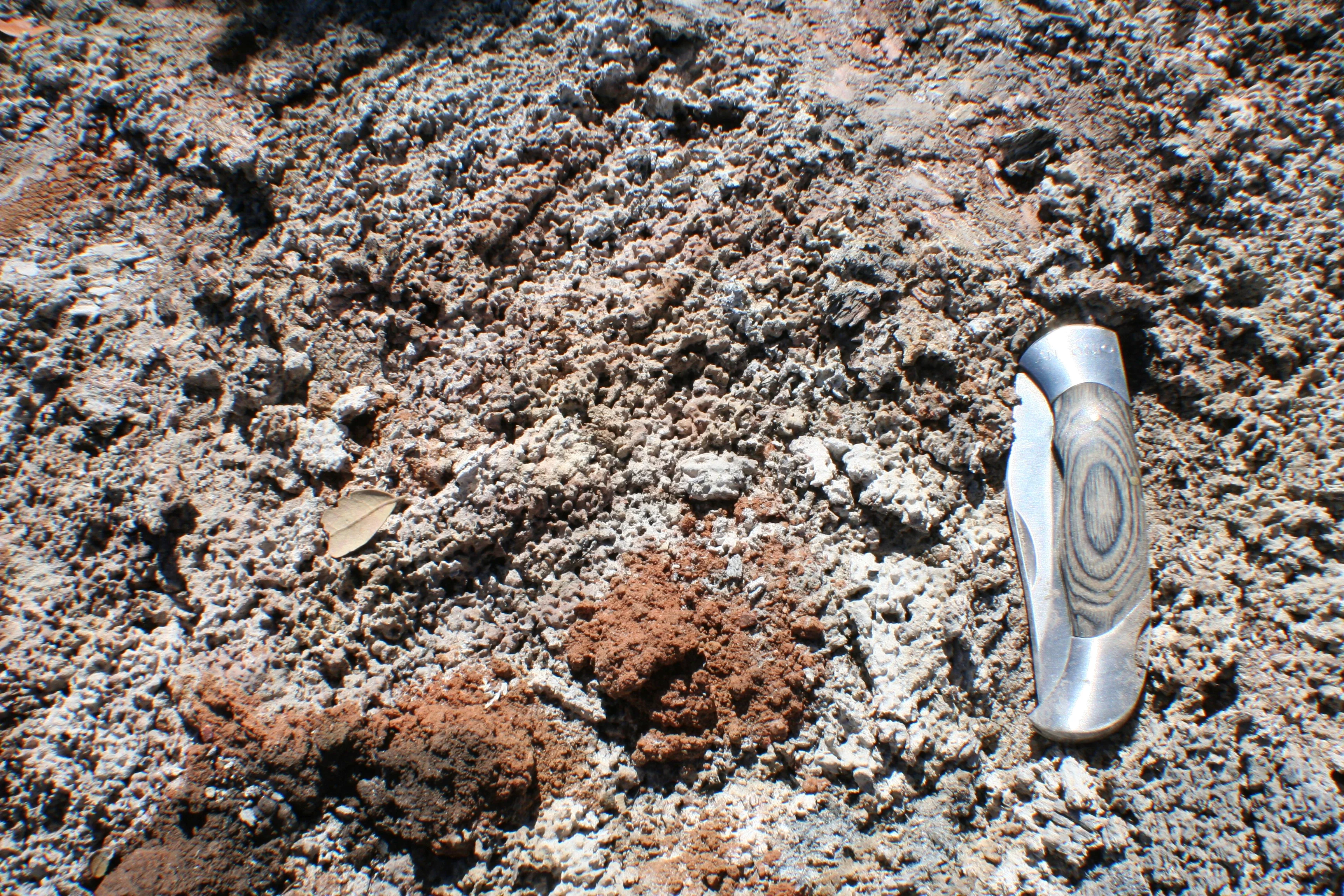 An ash layer protects the soil surface