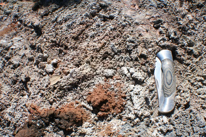 An ash layer protects the soil surface