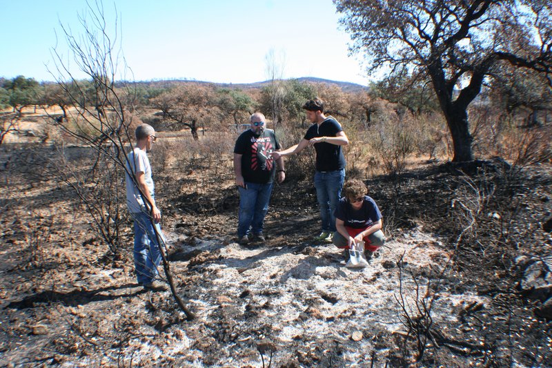 Soil scientists in action: Arturo, Antonio, Adrián and Lorena sampling a burnt soil