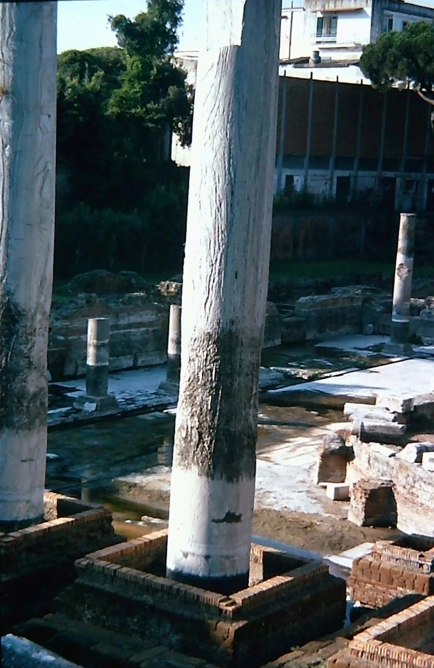 Macellum of Pozzuoli