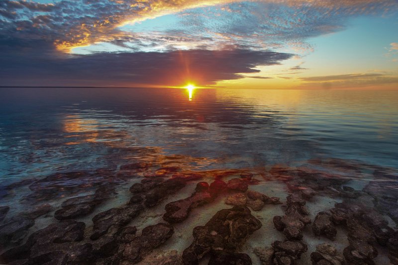Stromatolites by Sunset