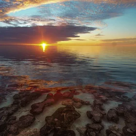 Stromatolites by Sunset