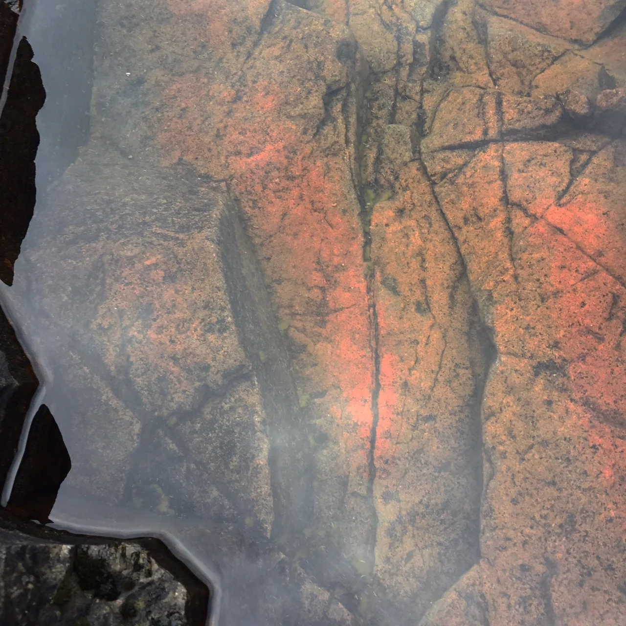 Freshwater Pool in Basalt