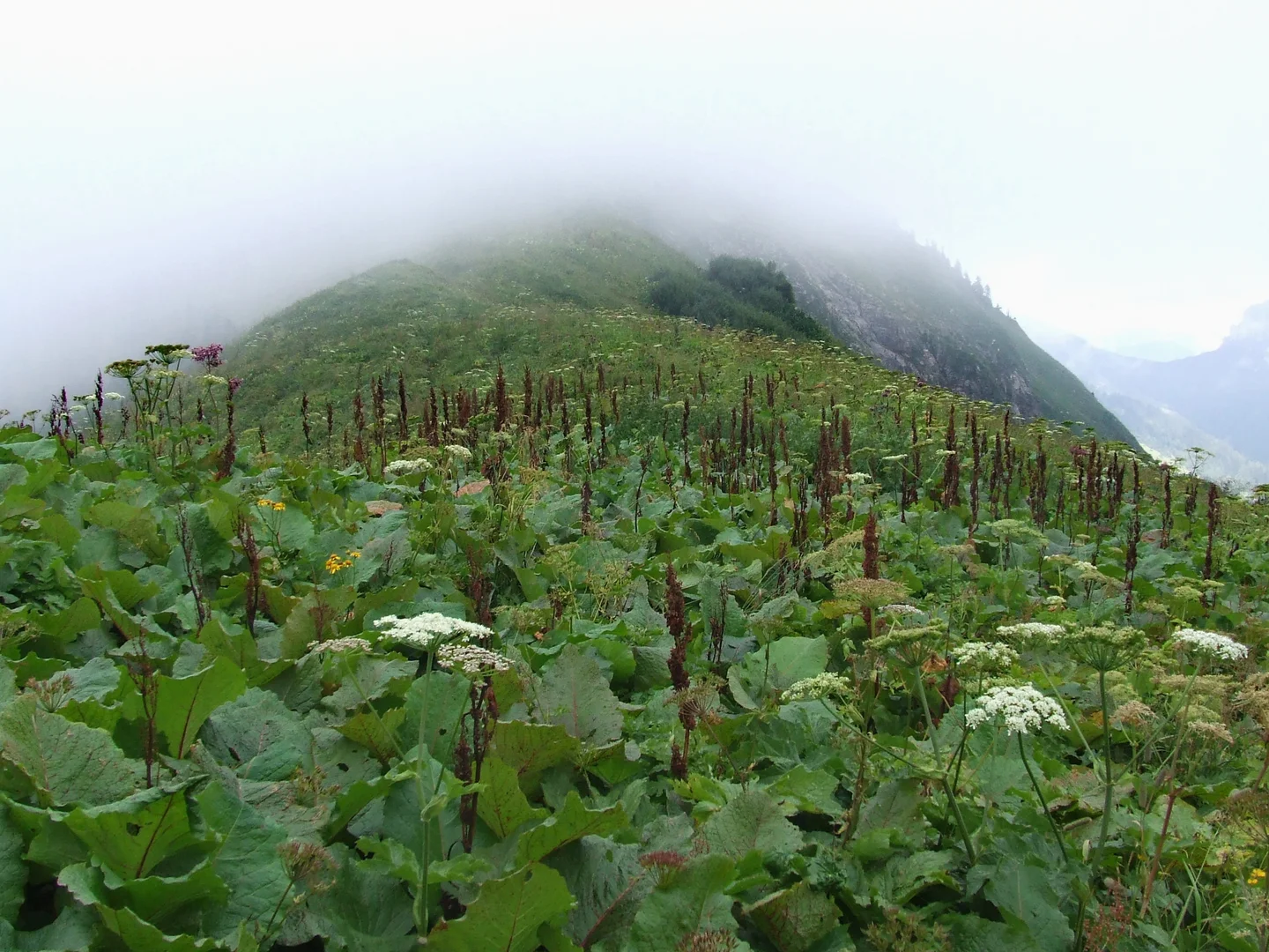 What the disappearing fog reveals