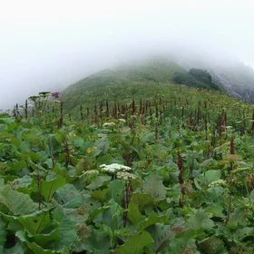 What the disappearing fog reveals