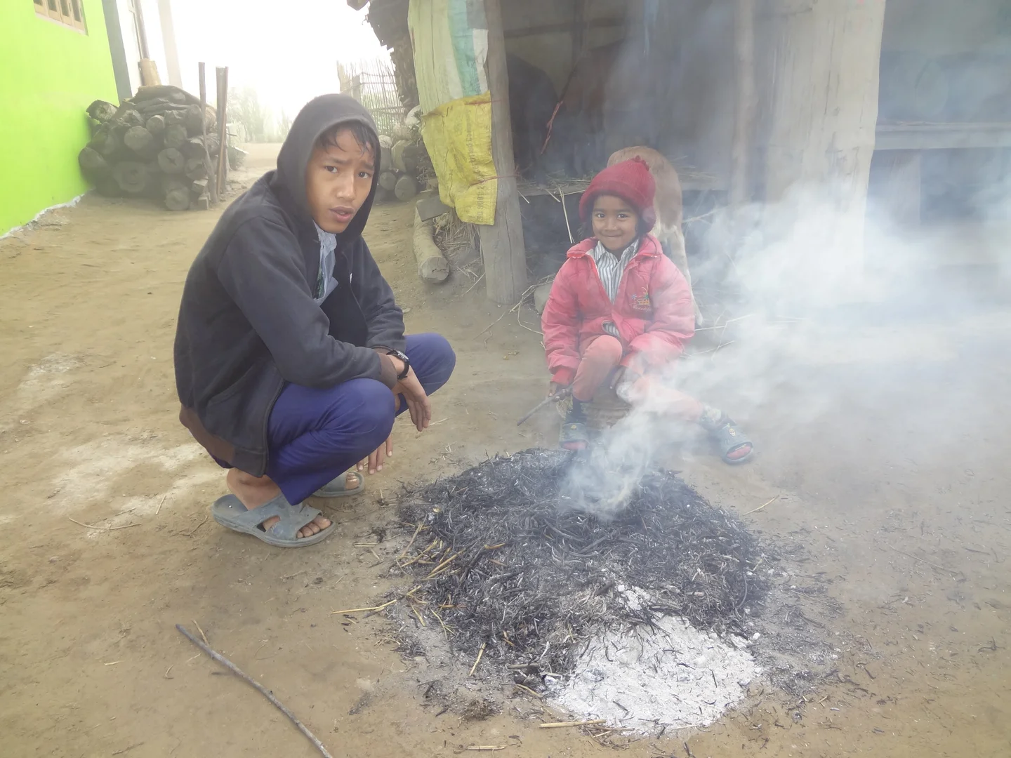 "Air Pollution, early childhood and adolescence"