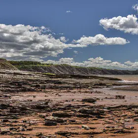 Joggins Fossil Cliffs UNESCO World Heritage Site, Joggins, Nova Scotia, Canada