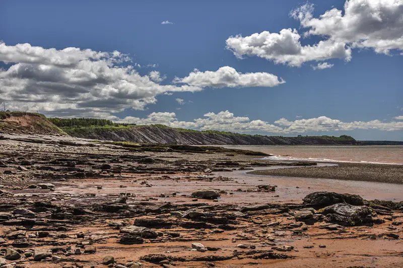 Joggins Fossil Cliffs UNESCO World Heritage Site, Joggins, Nova Scotia, Canada