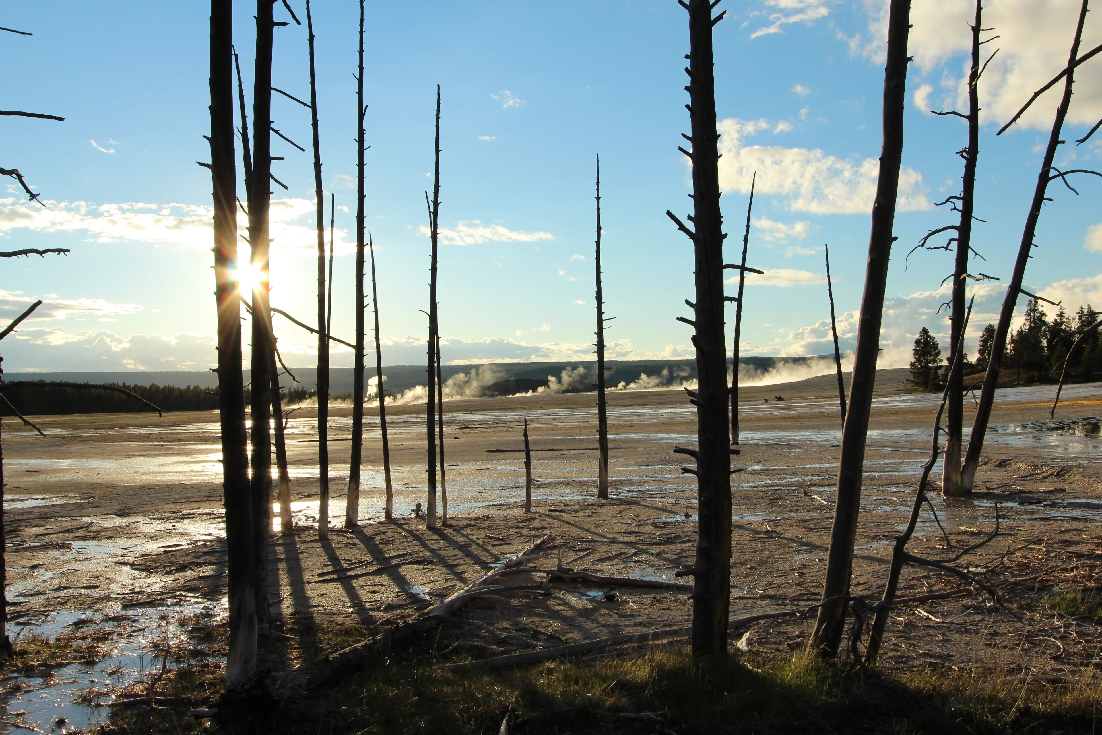 It's really hot in the Yellowstone National Park!