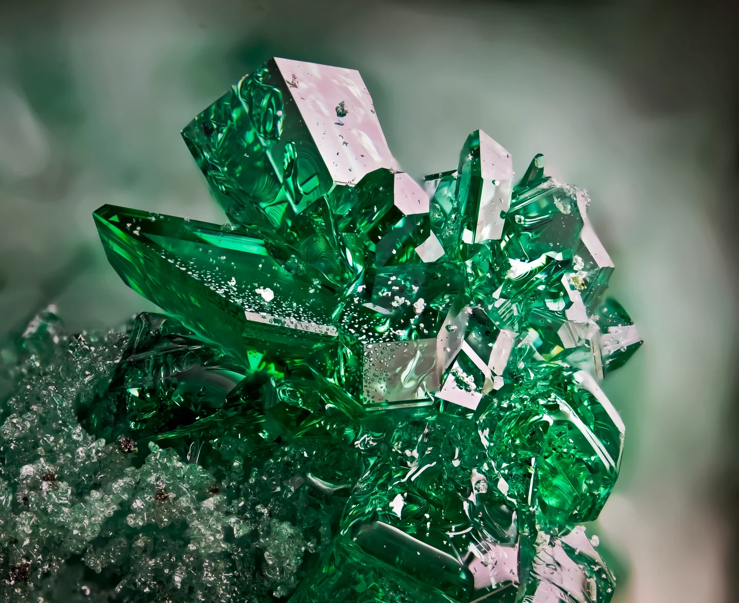 .."Christmas Tree"..