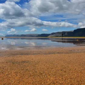 Rauðisandur, the red beach in Western Fjords, Iceland