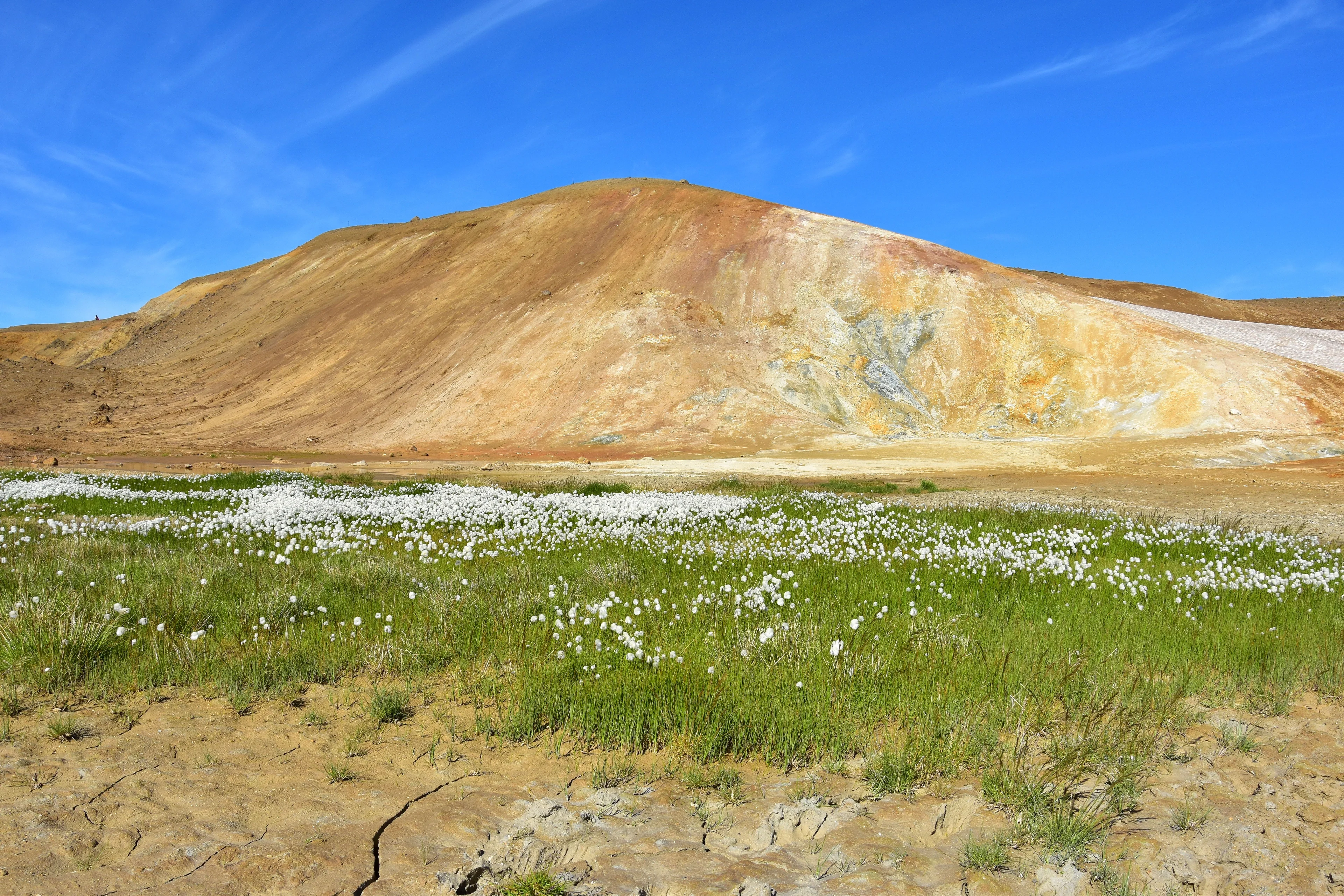 Life on Mars, Viti crater
