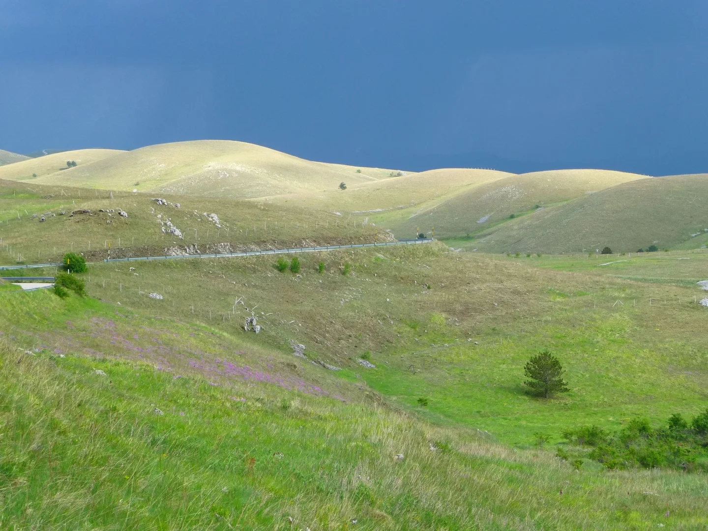 Before the spring storm