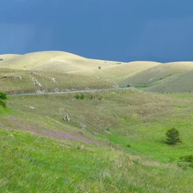 Before the spring storm