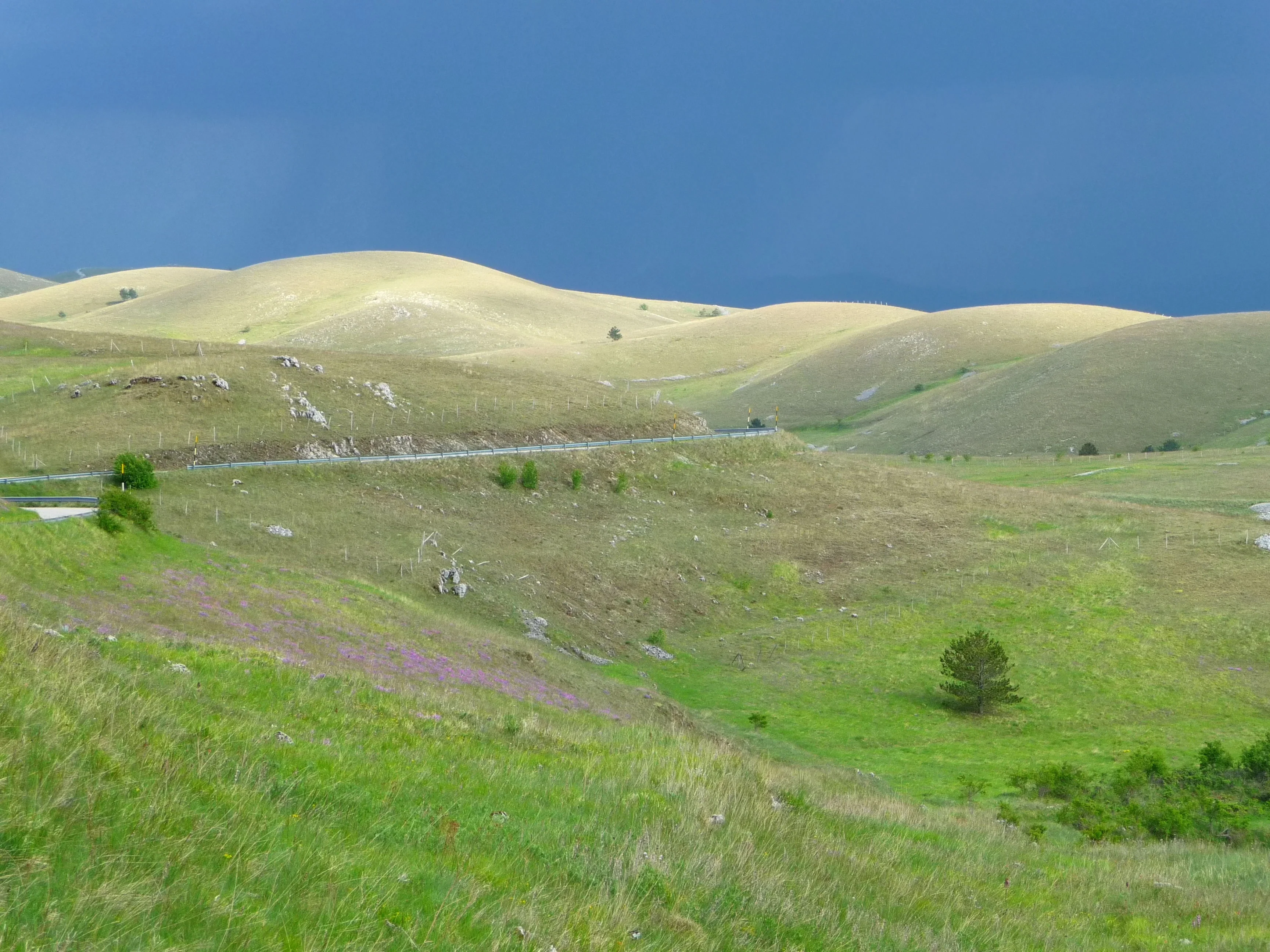 Before the spring storm