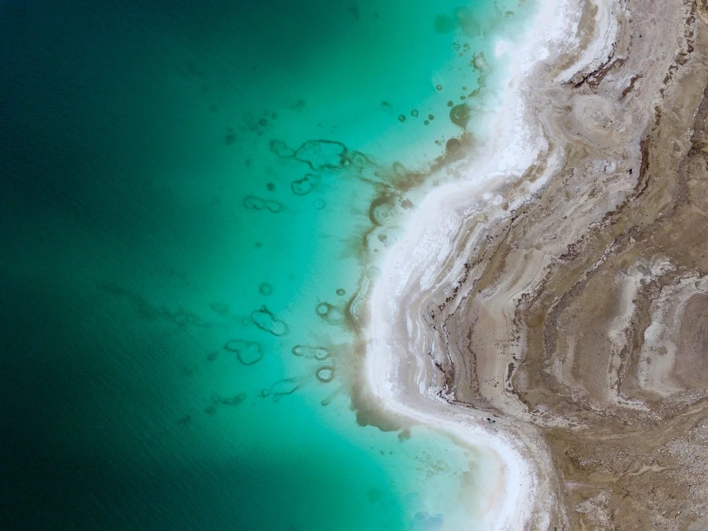 Salt shoreline of the Dead Sea