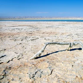 Salt covered branch at the Dead Sea shoreline