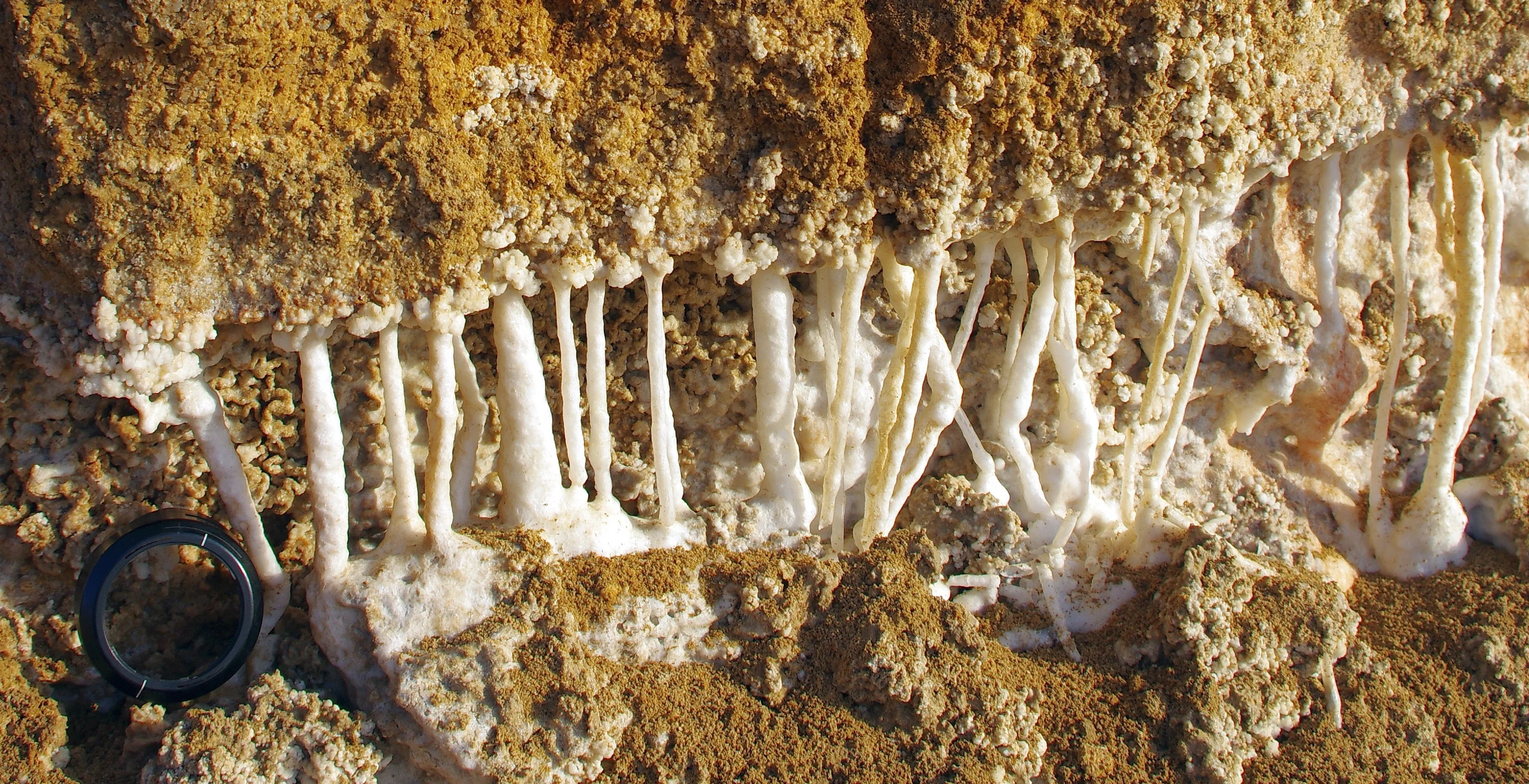 Evaporite drip stones at the Dead Sea
