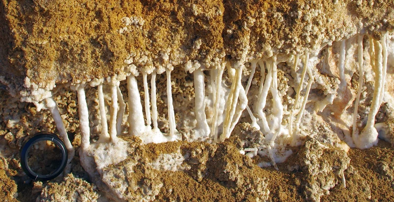 Evaporite drip stones at the Dead Sea