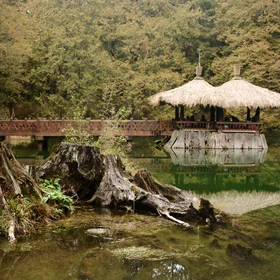 Human and Environment