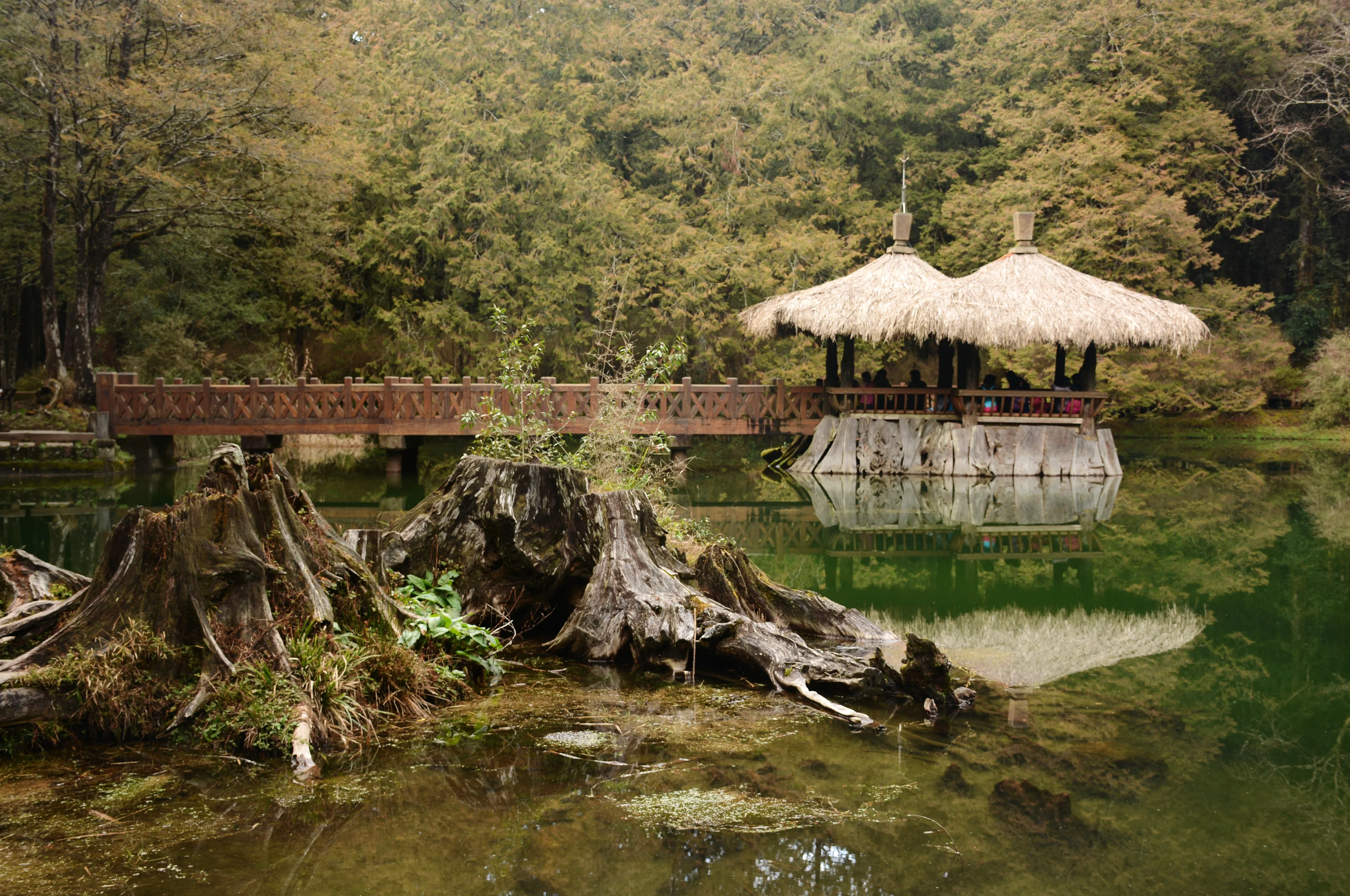 Human and Environment