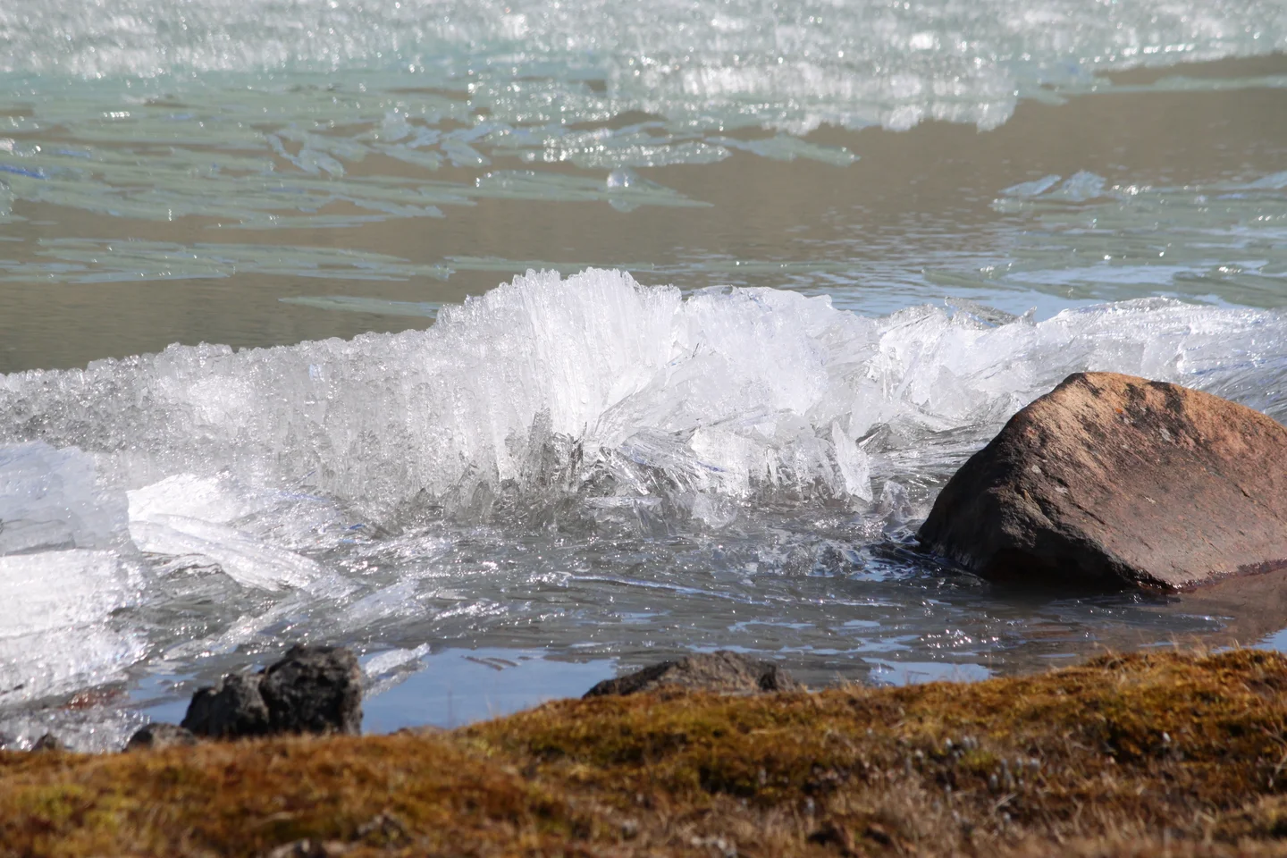 lake ice in summer Greenland