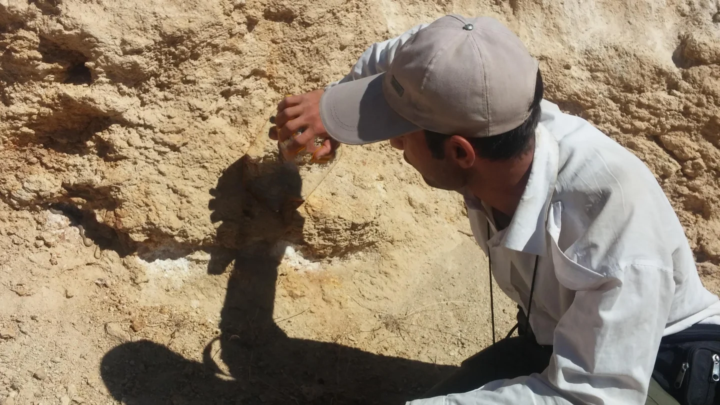 Geochemical Survey and Ecosystem